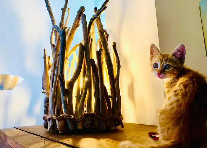 Le Stanze Del Brigante 3*