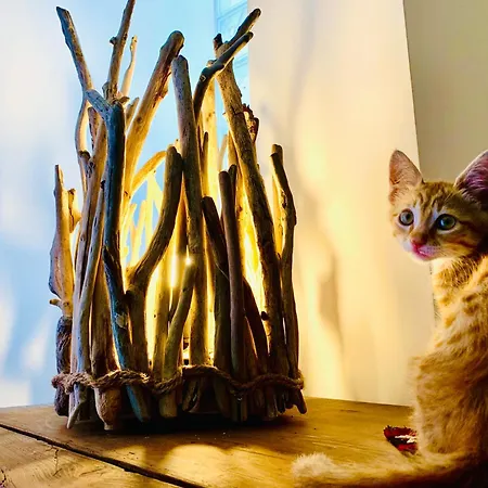 Le Stanze Del Brigante 3*